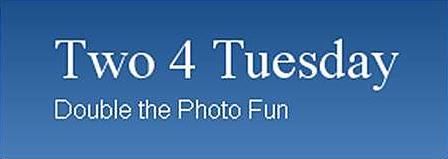 Two4Tues Two4Tues